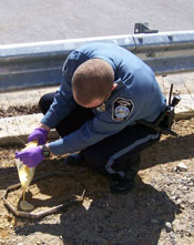 Criminal Investigator working on a crime scene
