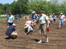 Gardeners preparing soil
